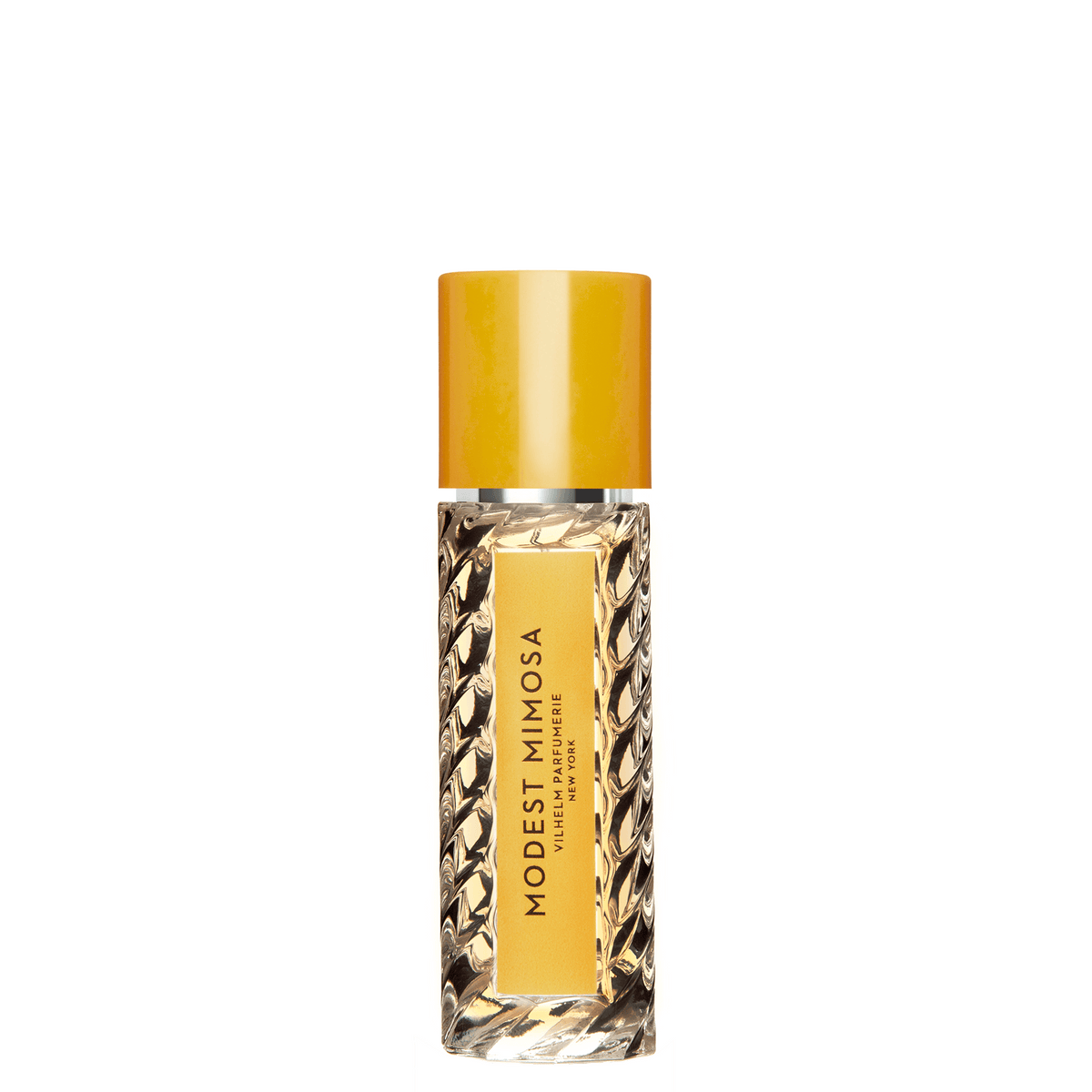 Modest Mimosa – Twisted Lily