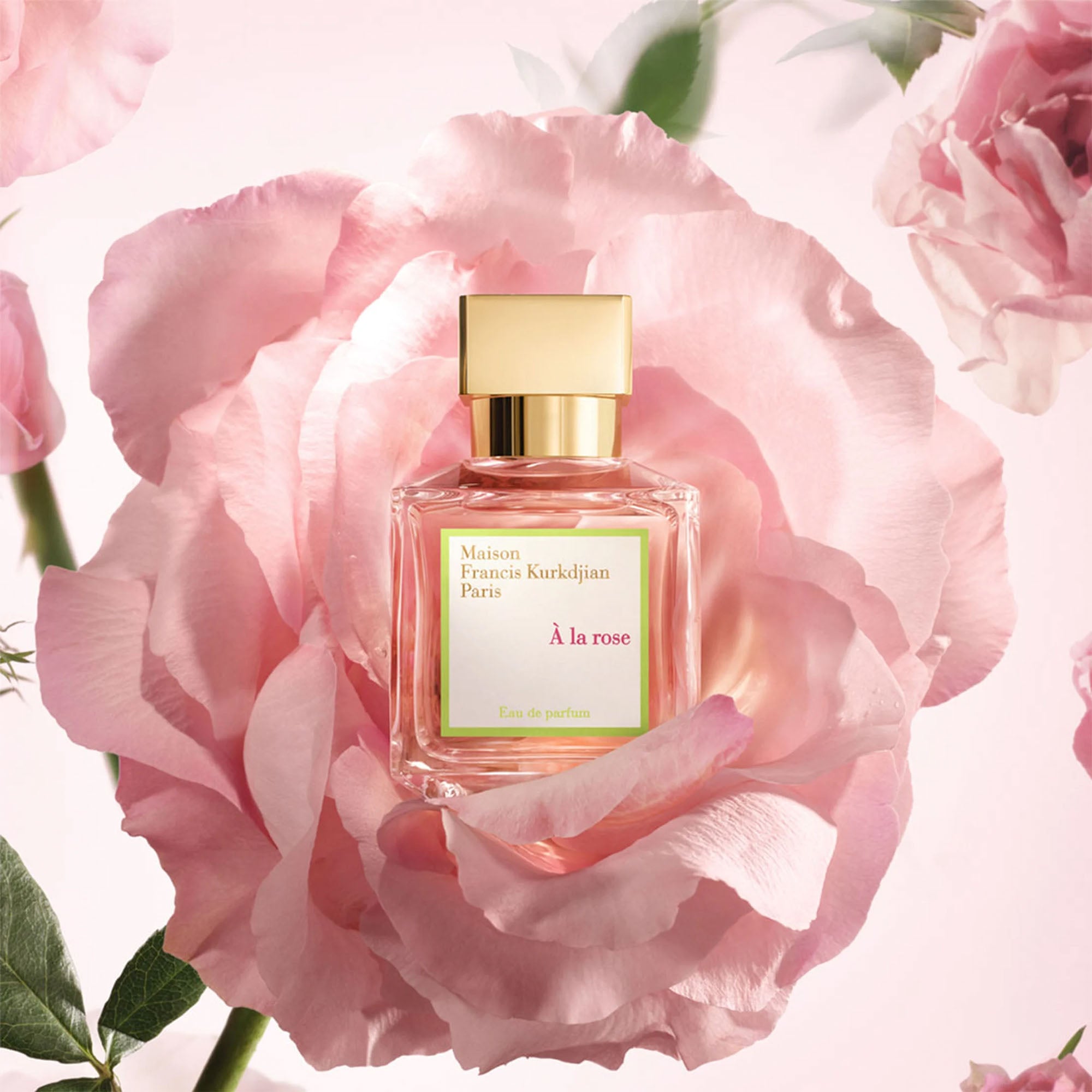 À la Rose – Twisted Lily