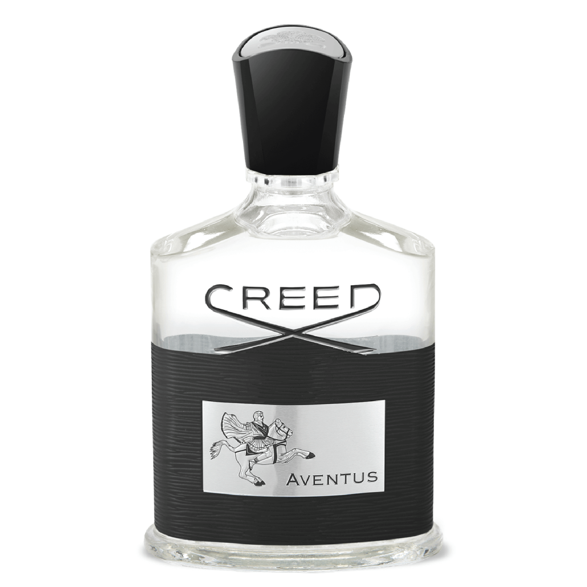 Aventus – Twisted Lily Aventus – Twisted Lily