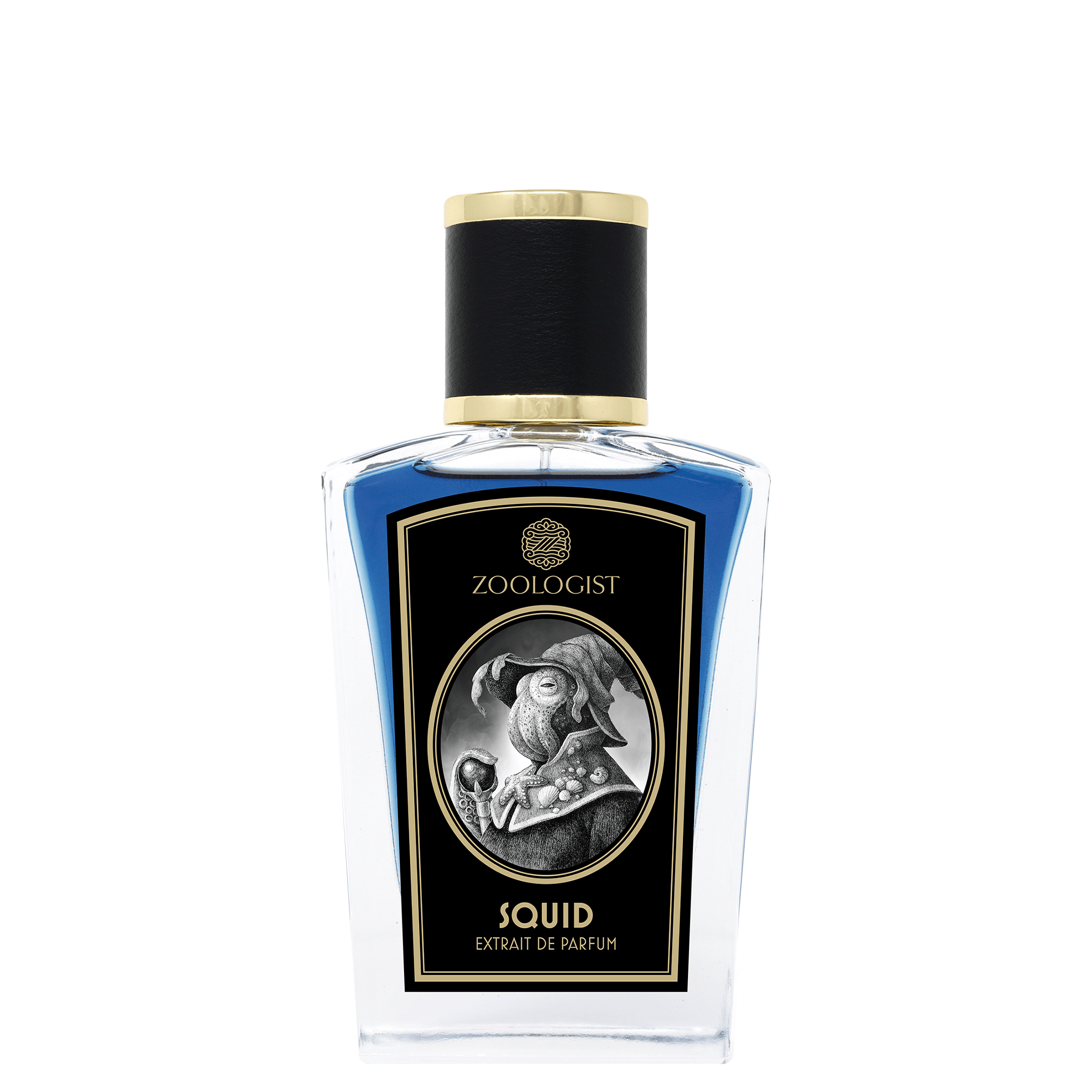 Squid – Twisted Lily - Main Image